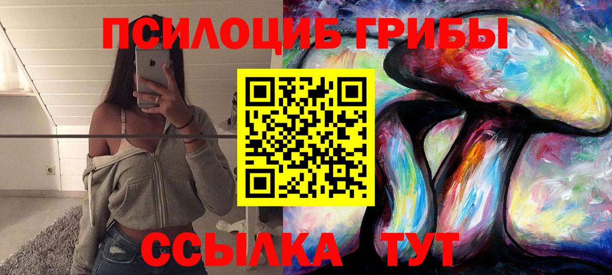 Сертолово  Псилоцибиновые грибы Cubensis  Вход с VPN  Галлюциногенные грибы мухоморы 