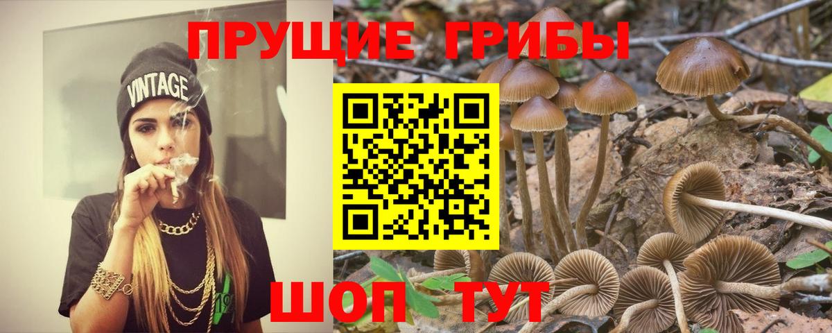 Галлюциногенные грибы мухоморы Сертолово